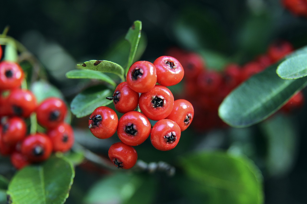 皇社教练：梅里诺像神一样；奥萨苏纳不降级可能没有如今的他