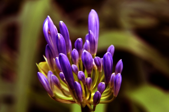 斯内德：穆帅对我而言就像父亲，贝尼特斯来国米的时机不对