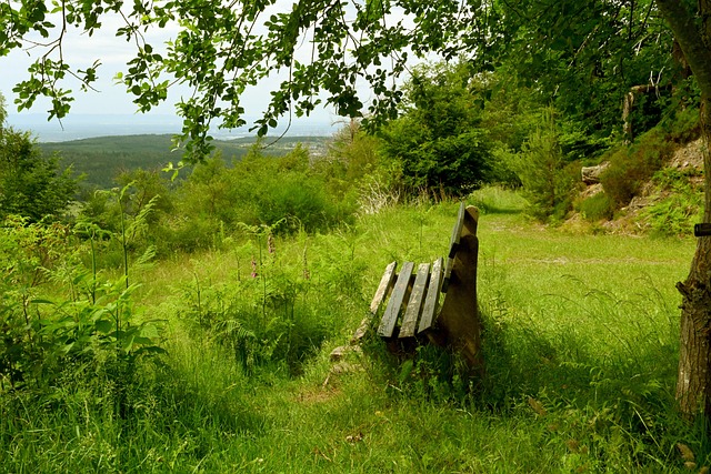 僅鞏固了C 僅鞏固了C