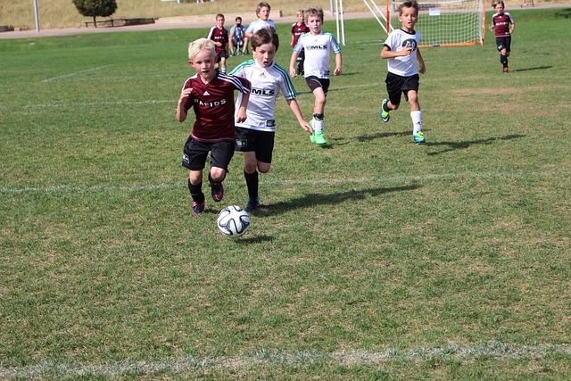 雄鹿队应加 雄鹿队应加