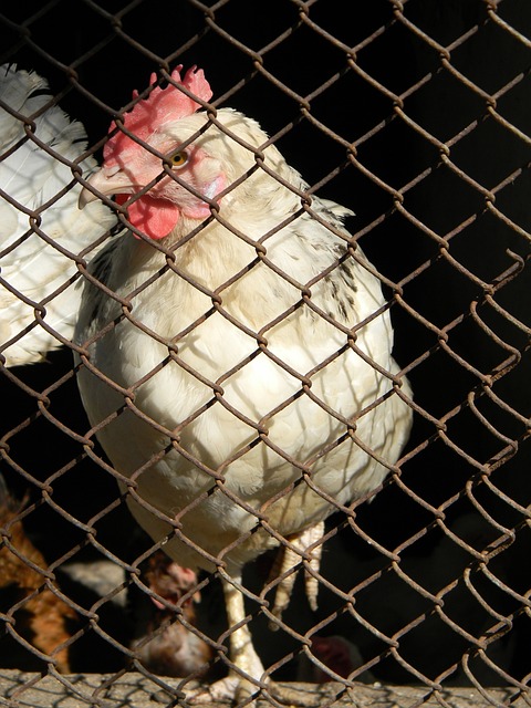 不断深入的 不断深入的