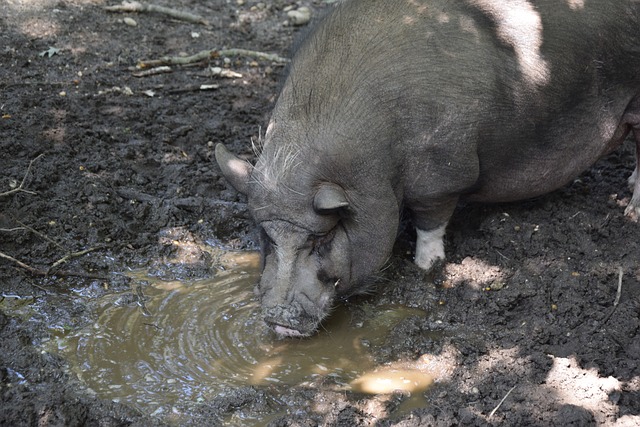 的曝光变得 的曝光变得