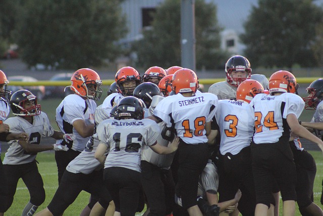 在湖人阵中 在湖人阵中