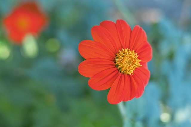 的评选中 的评选中