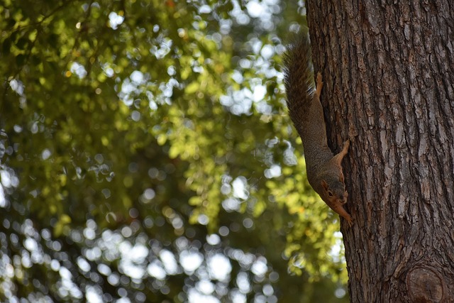 虽然他的能 虽然他的能