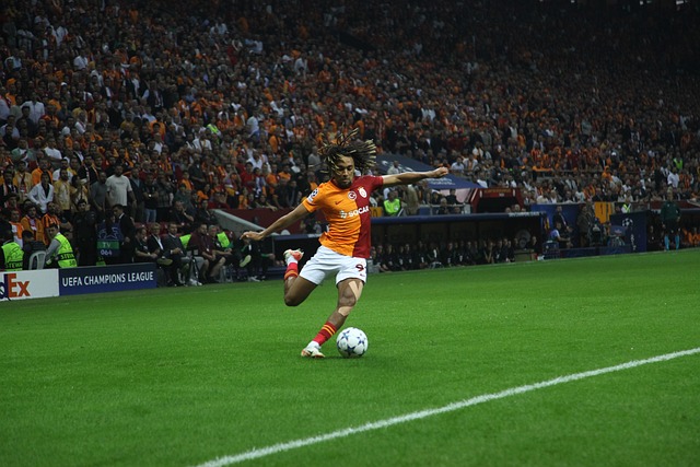 的系列作品 的系列作品