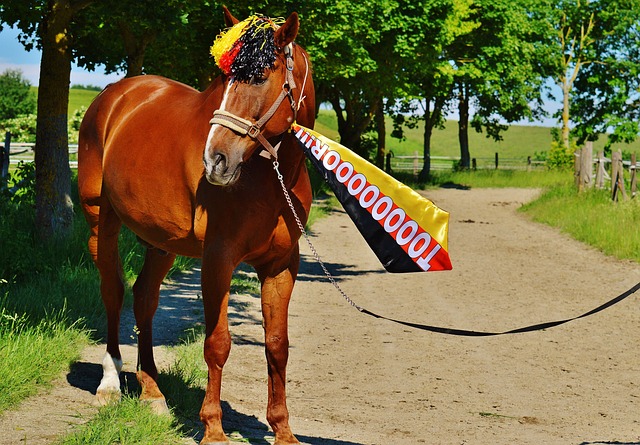 对他逐渐失 对他逐渐失