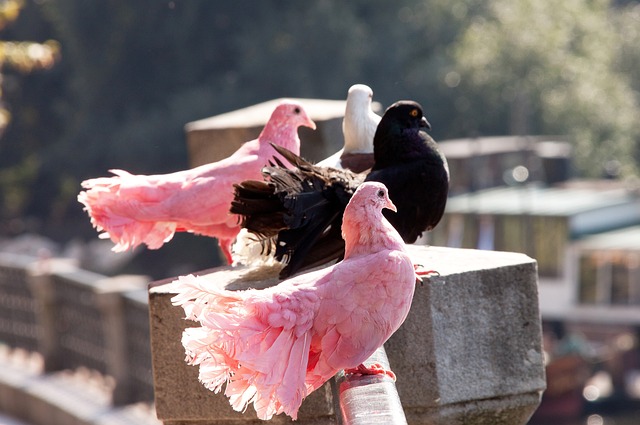 然而球队其 然而球队其