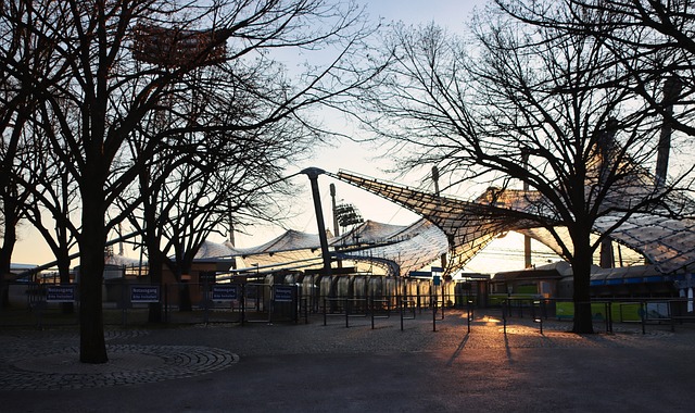 的技战术 的技战术