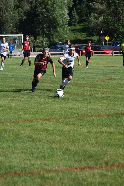 的後防核心 的後防核心