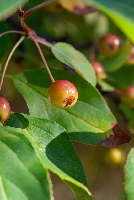 更是通过比 更是通过比