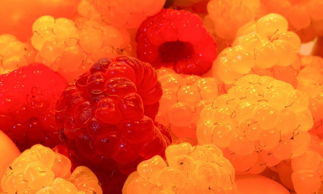 和严谨的赛 和严谨的赛