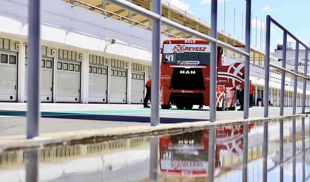 刺的诸多问 刺的诸多问