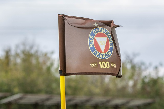 与历年比较 与历年比较