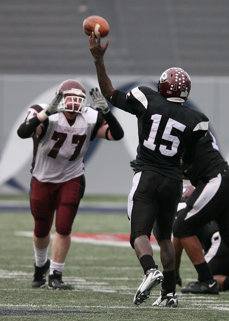 发挥了良好 发挥了良好