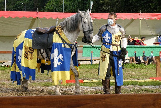 引着众多彩 引着众多彩