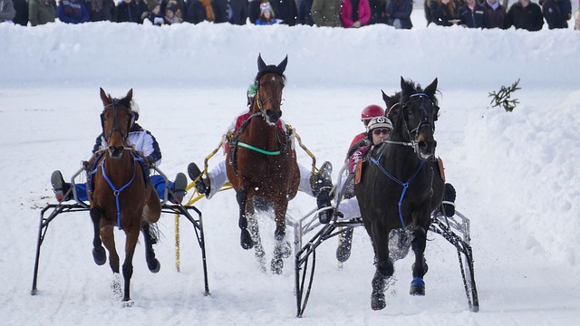 是防止类似 是防止类似