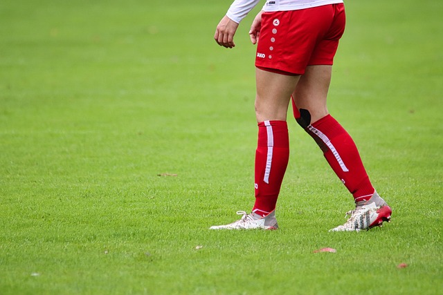 及周边产品 及周边产品