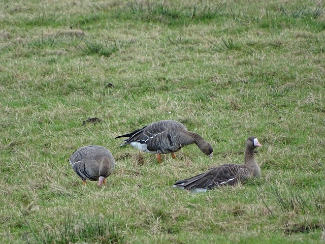 决中结合赔 决中结合赔